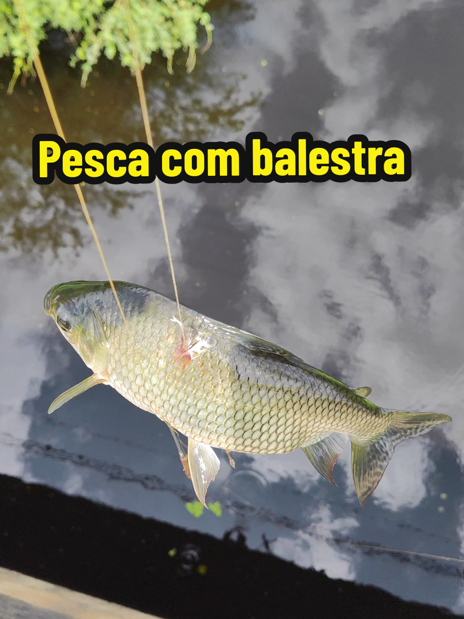 @Joildo Araujo