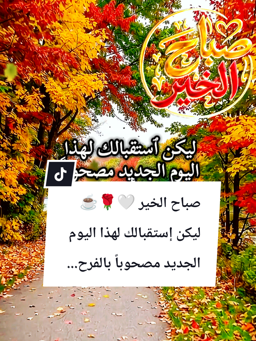 @🌟𝗦𝗼𝘂𝘇𝗮𝗻 𝗖𝗵𝗮𝗺𝘀