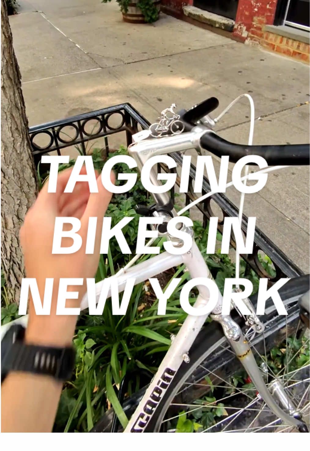 @bikefairy