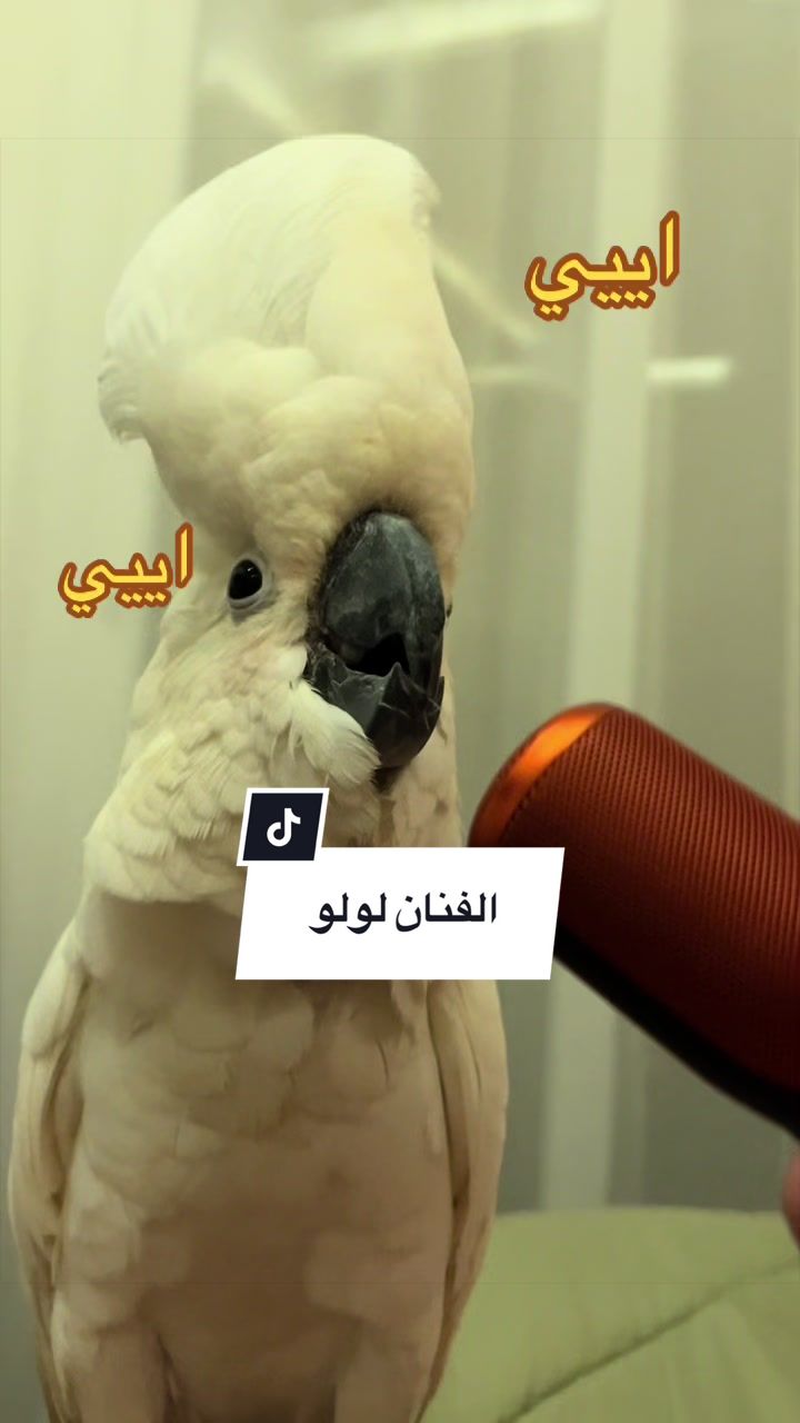 @د.وئام