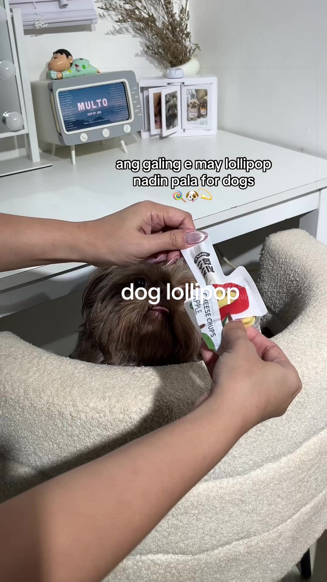 @Bellamy&Pawmily