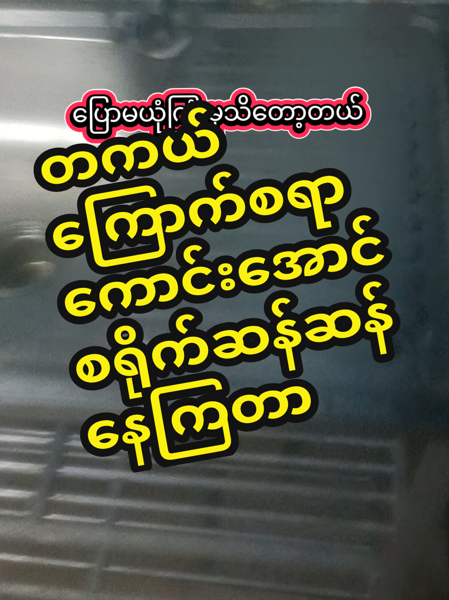 @Jenus586-(Official)