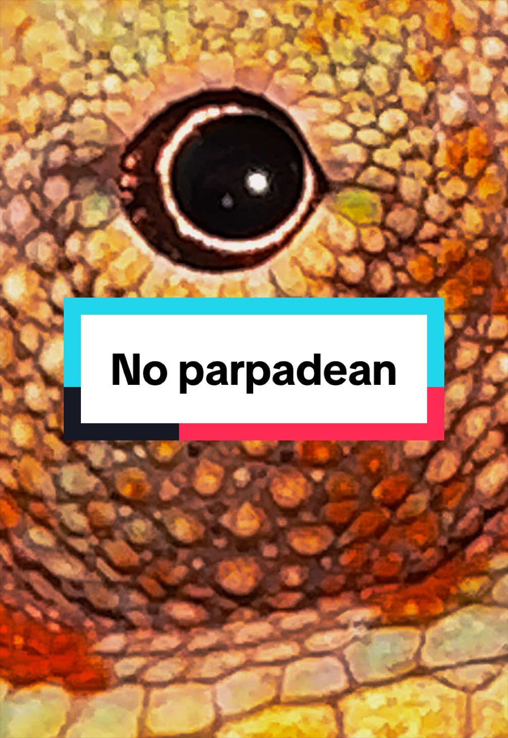 @ReptilMania