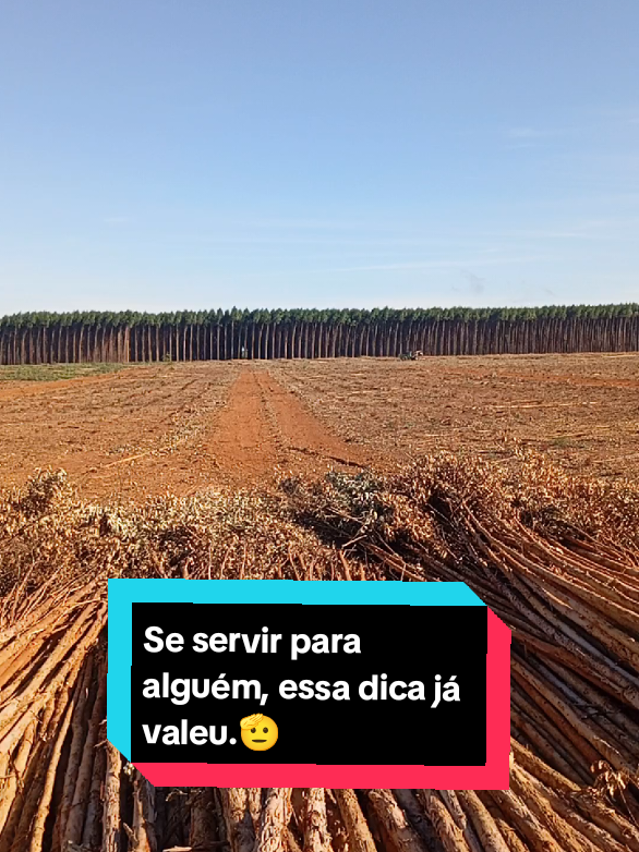 @🌲OperadorFlorestal🪵Ernandes.