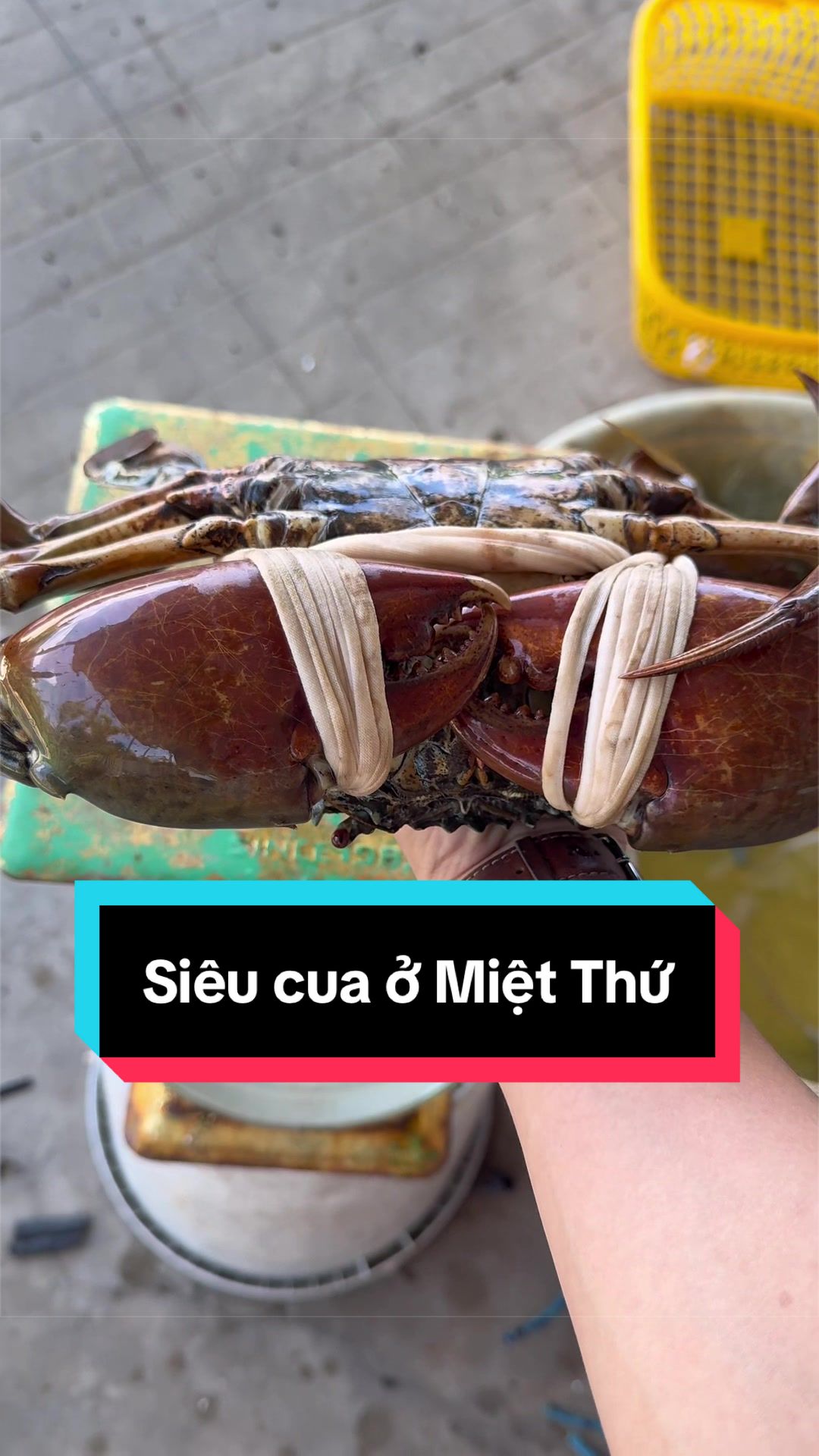@Tuananh Do