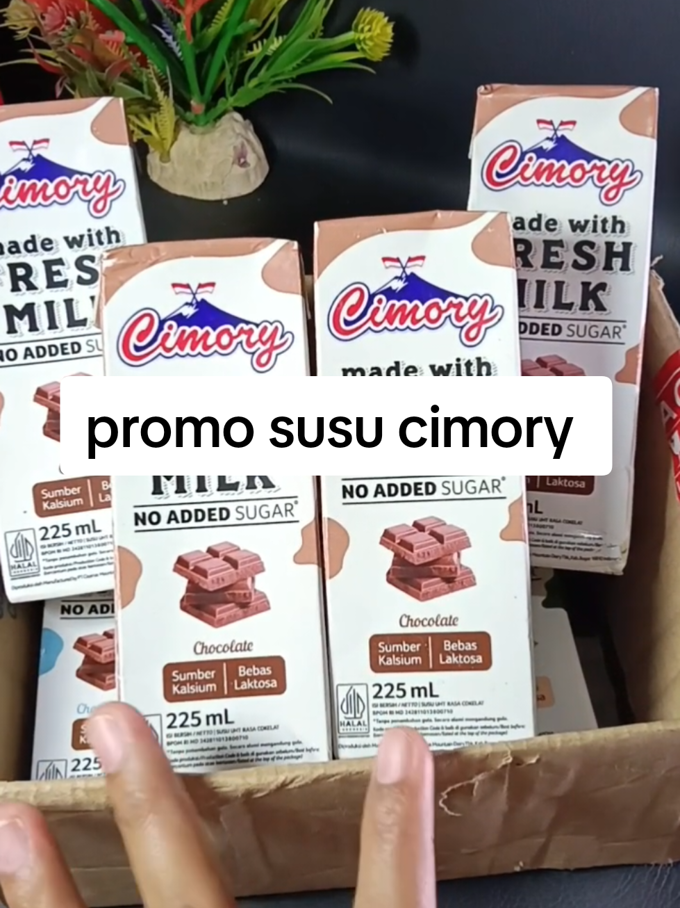 @zellaycel02