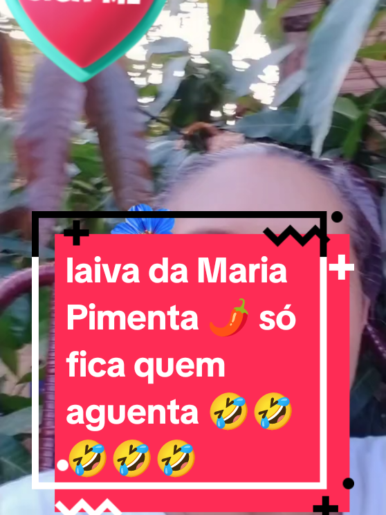 @Sulamita Bolsonaro 🇧🇷🇧🇷