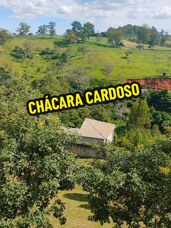 @Luiz Djfru