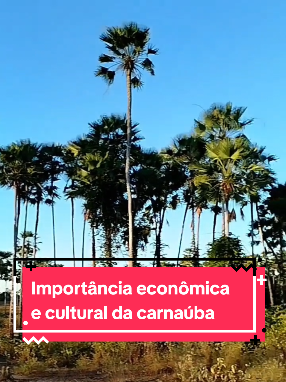@Adriano Sombra