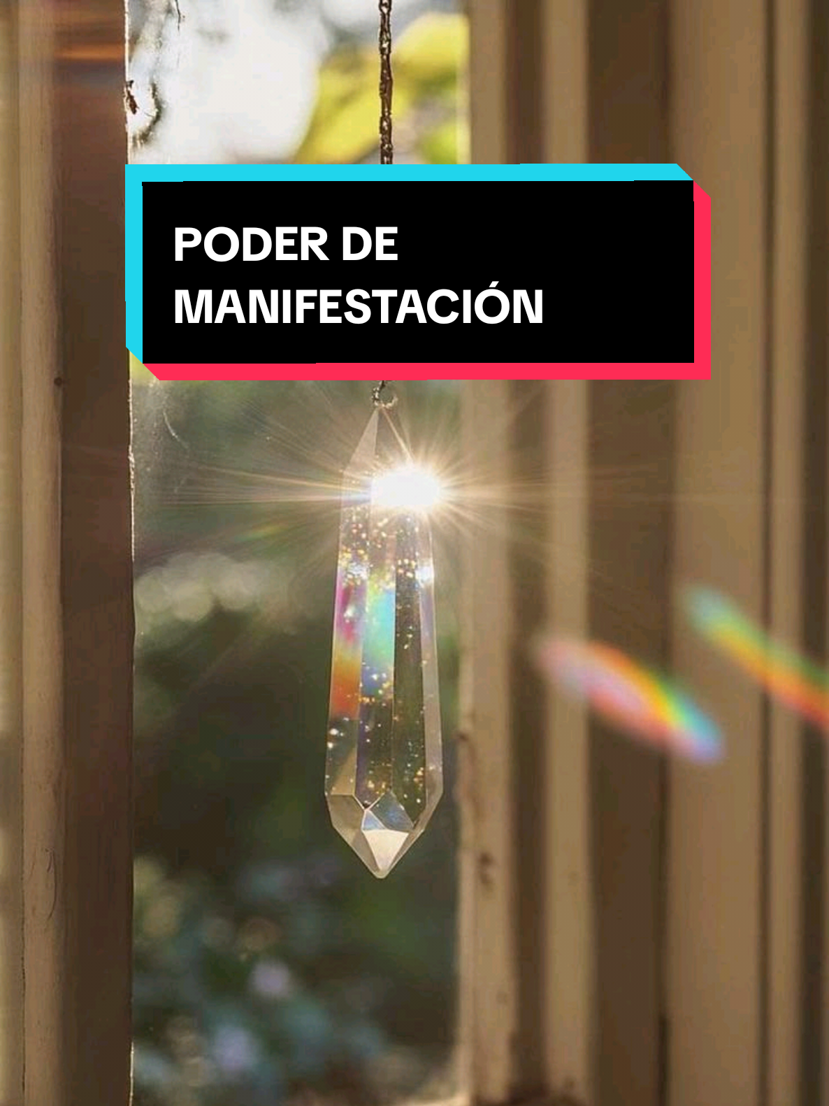 @Lulita_manifestacion🪐✅️
