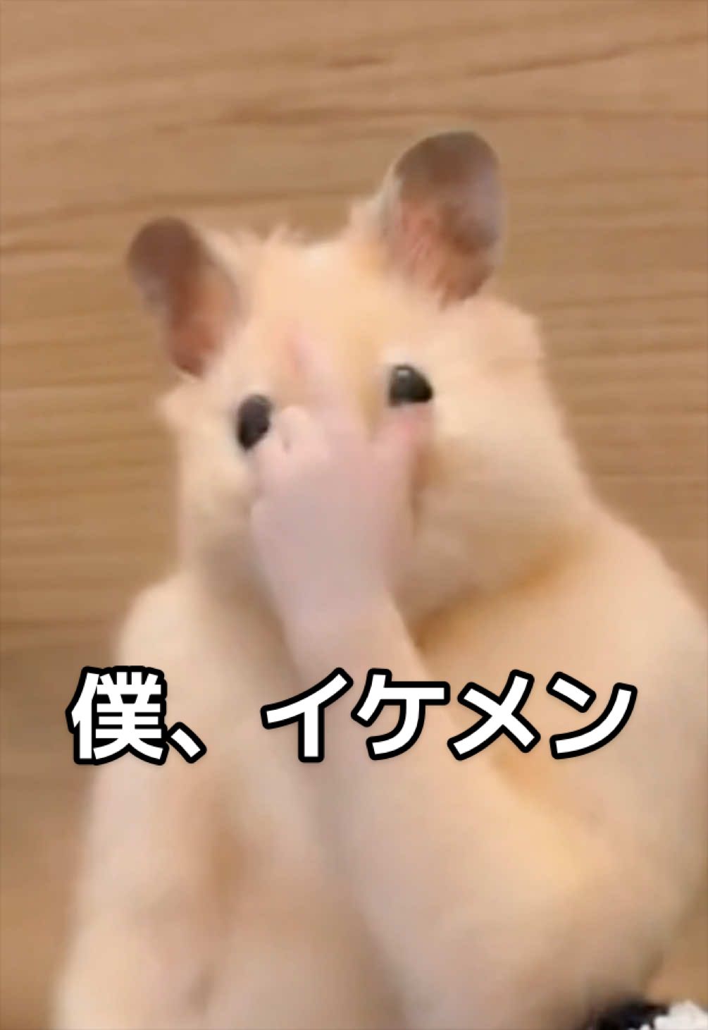 @FCham