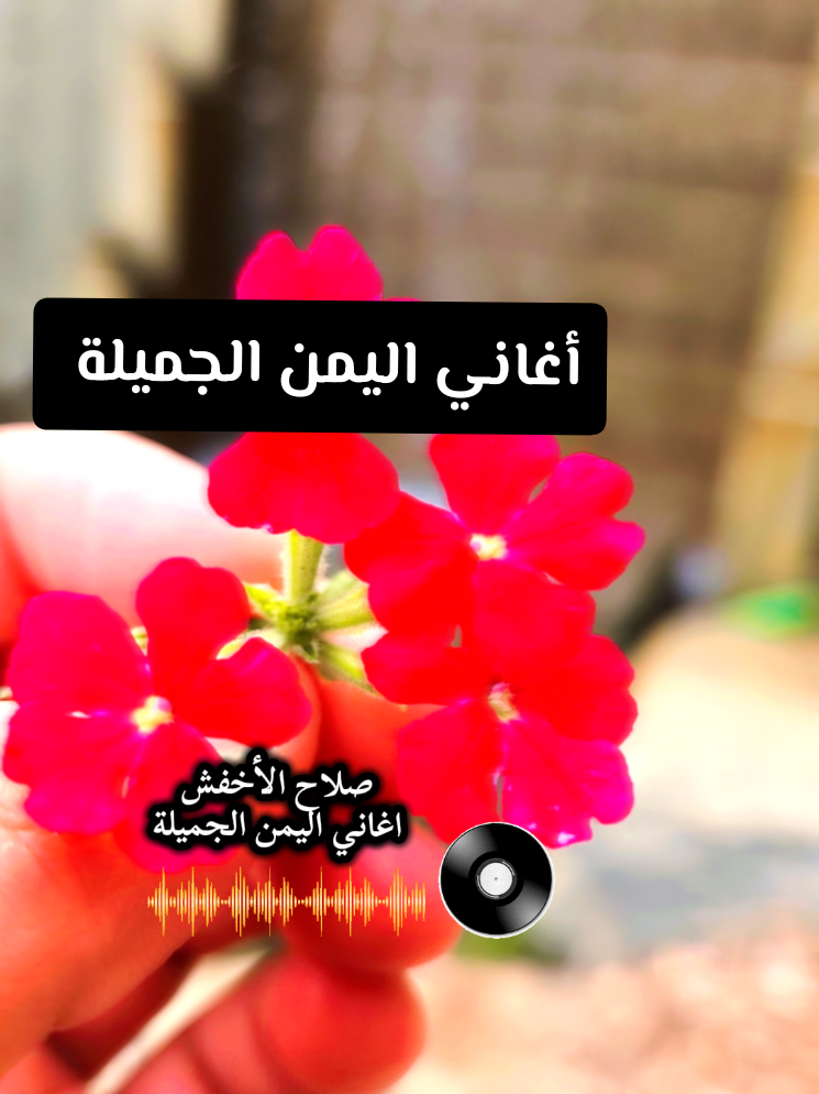 @🍃🌸Tahani Khafas🌸🍃
