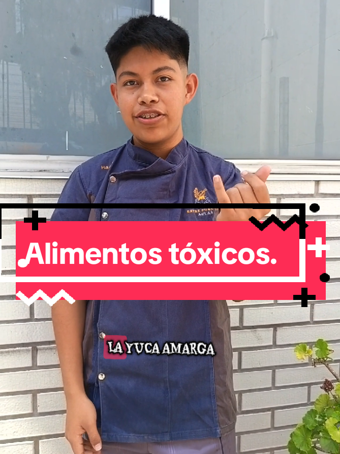 @Entre Fuegos y Aulas