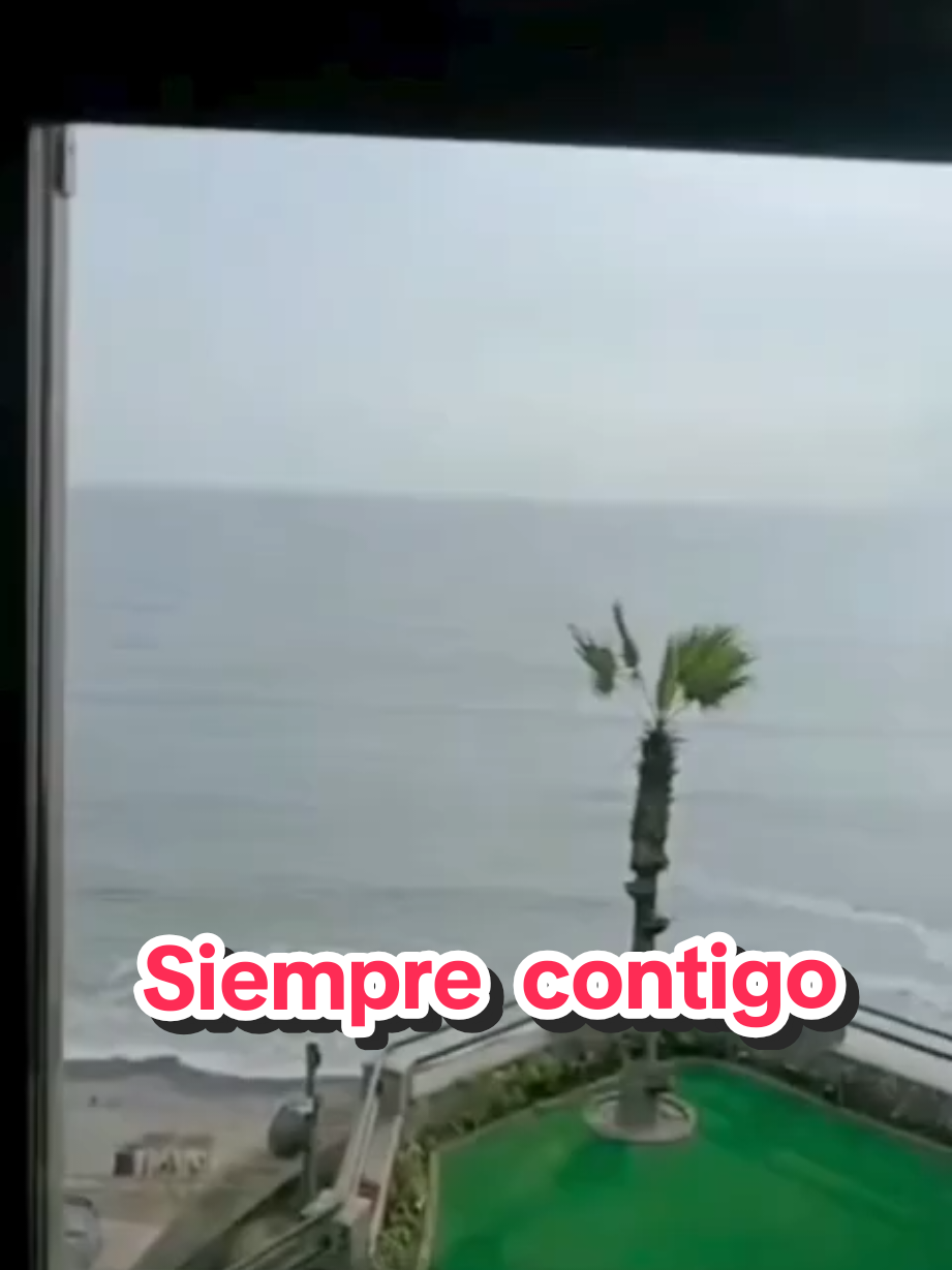 @Javi