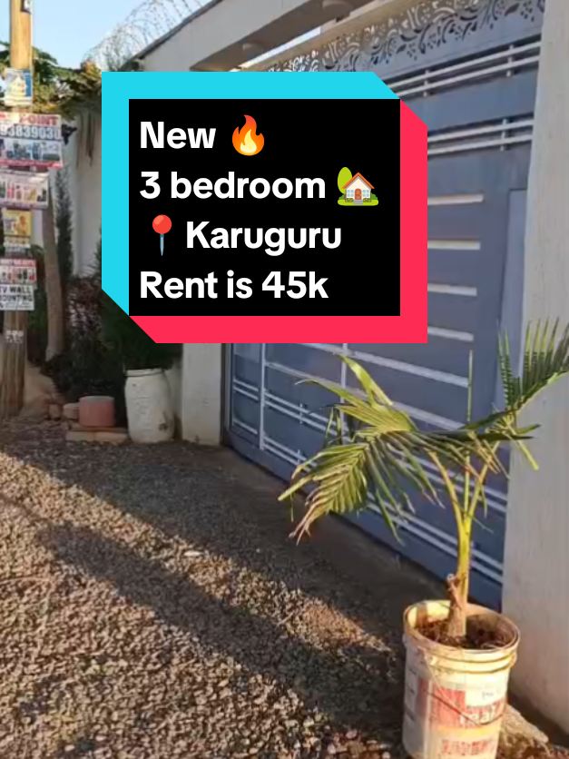 @The House Plug _Thika road