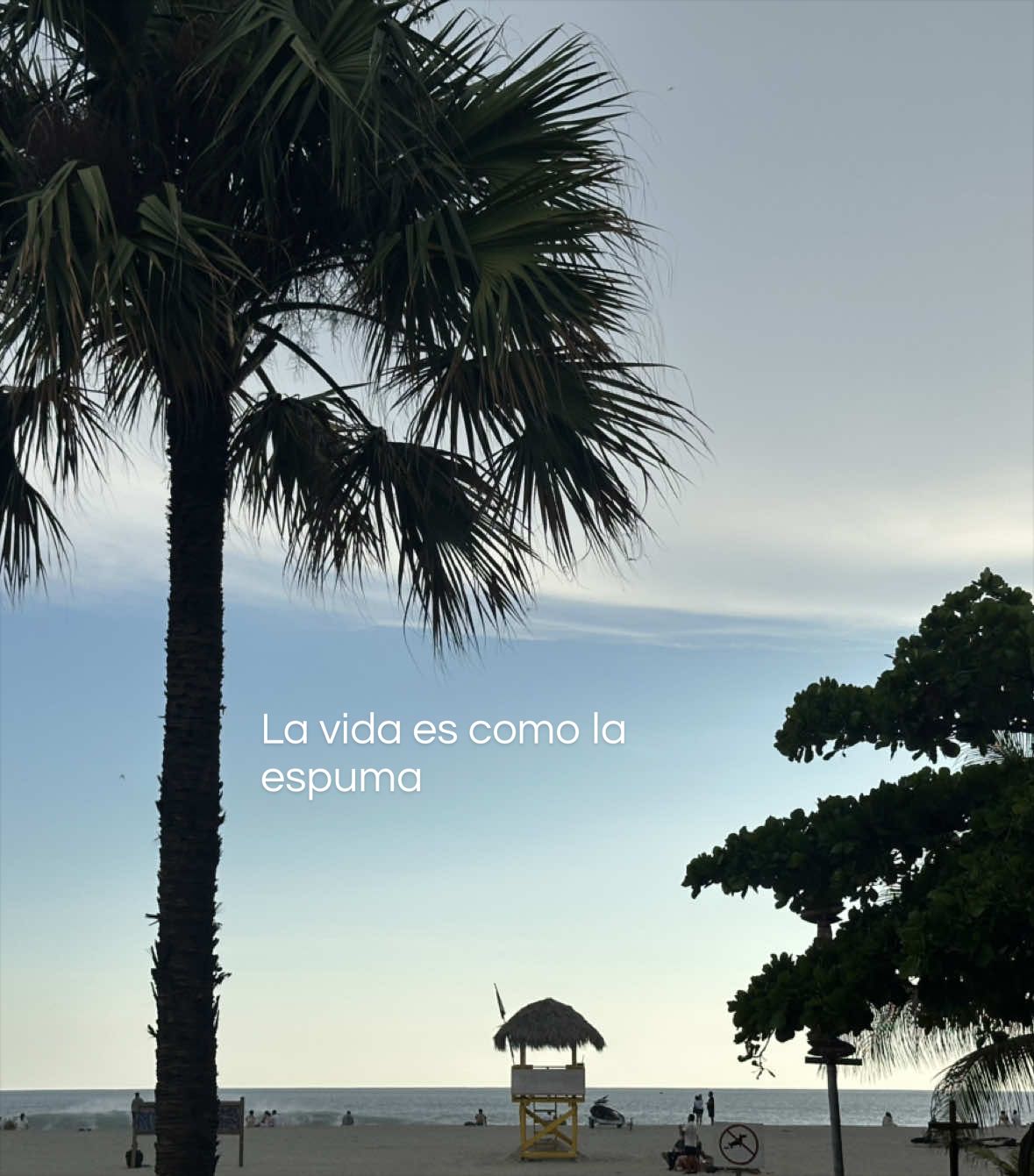 @Eduardo Nares Rodríguez