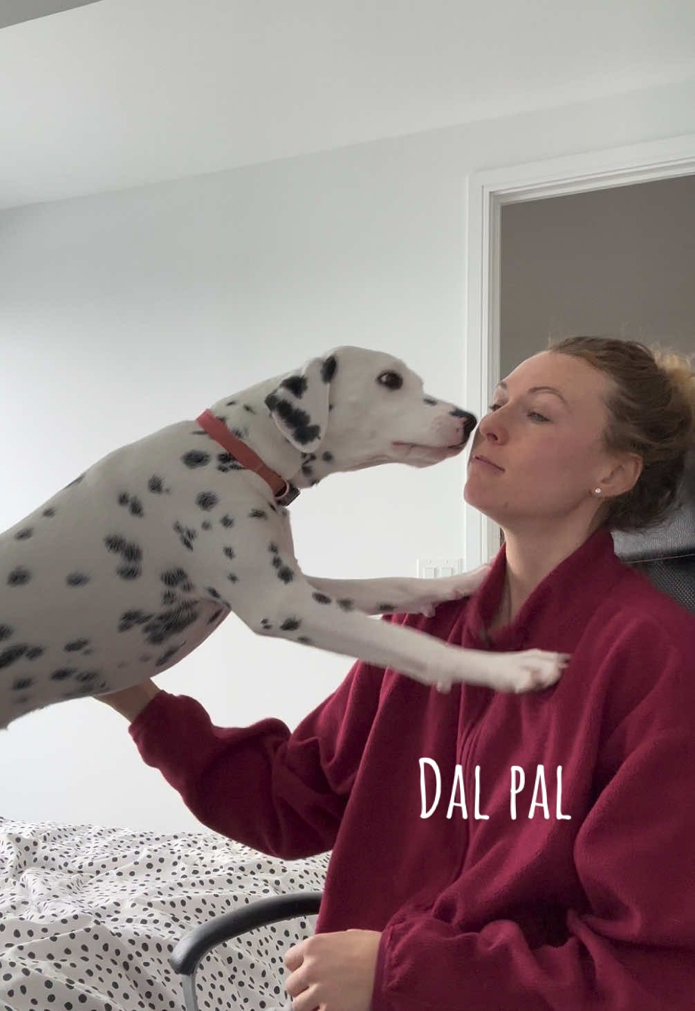 @Nevada the Dalmatian