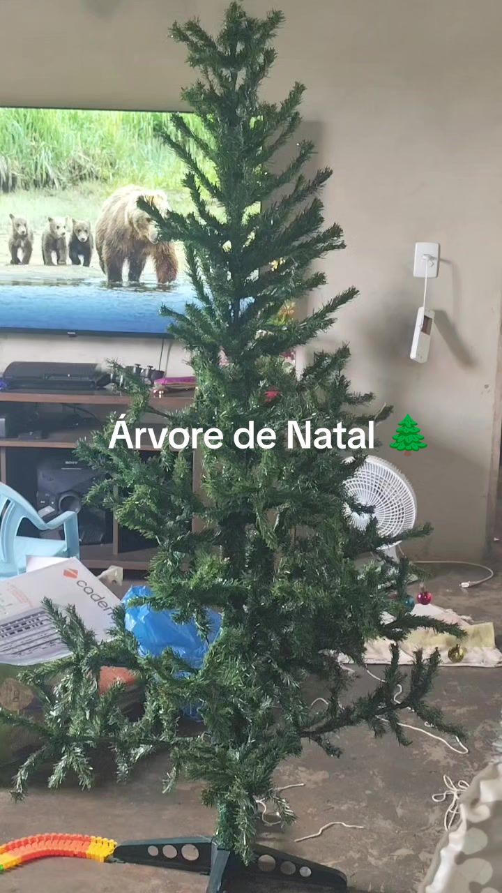 @Natalia Alves