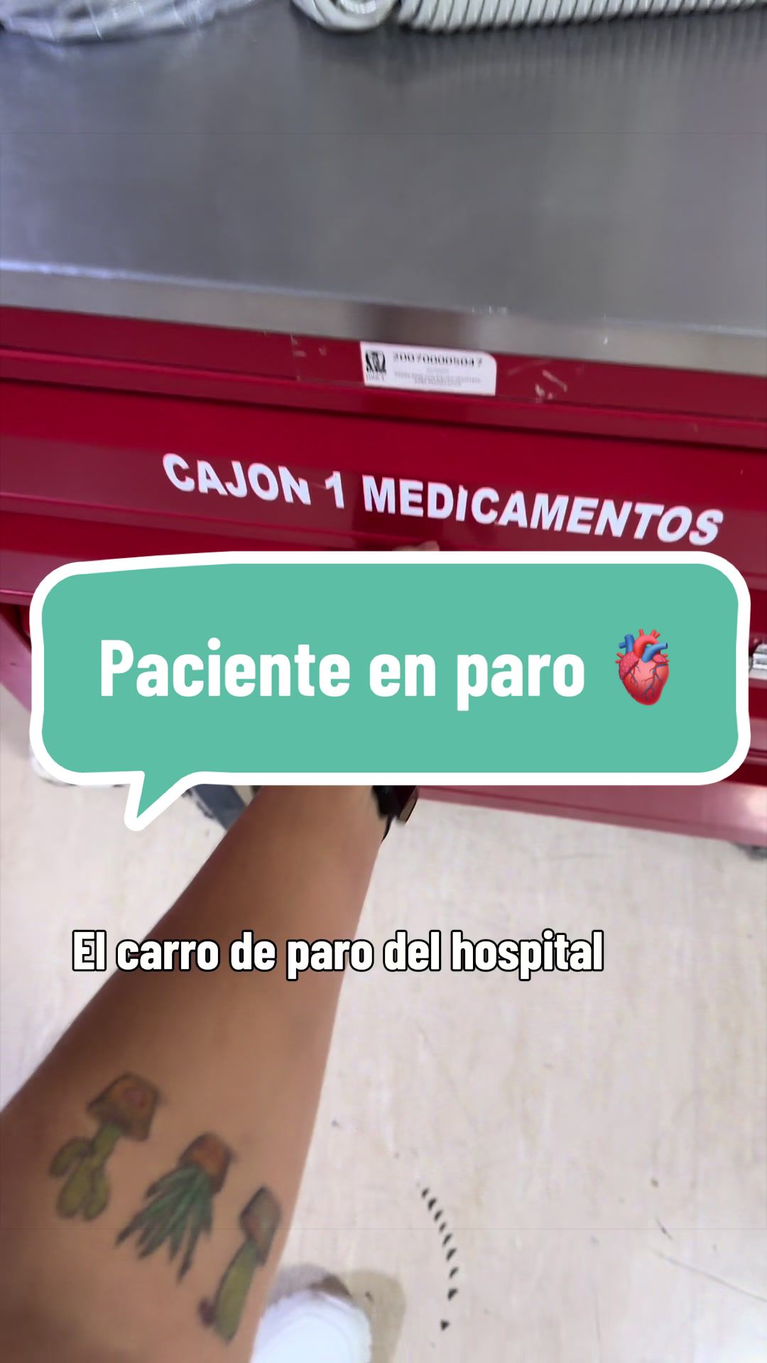 @Lu Molina