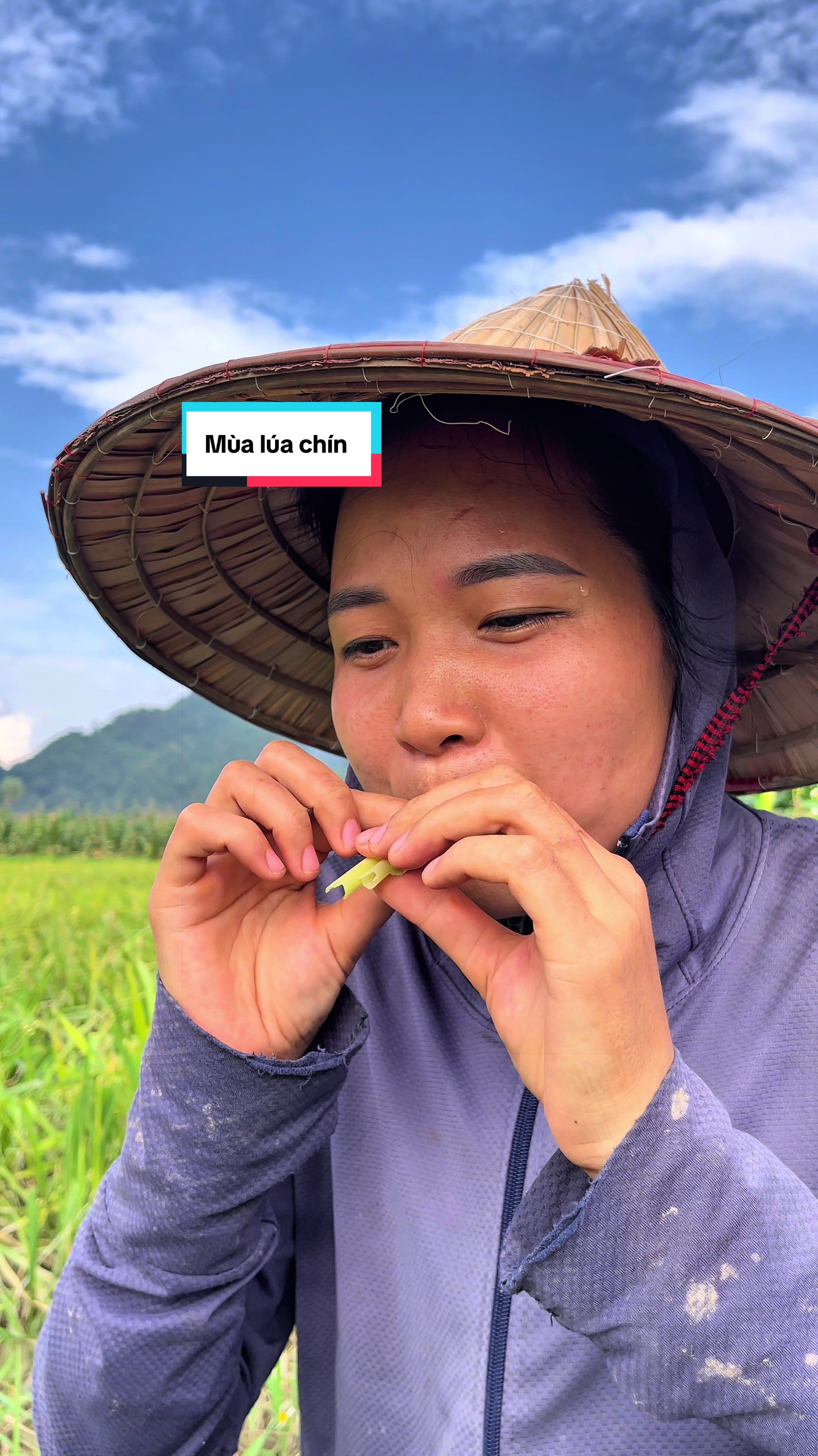 @Sửu Nhii