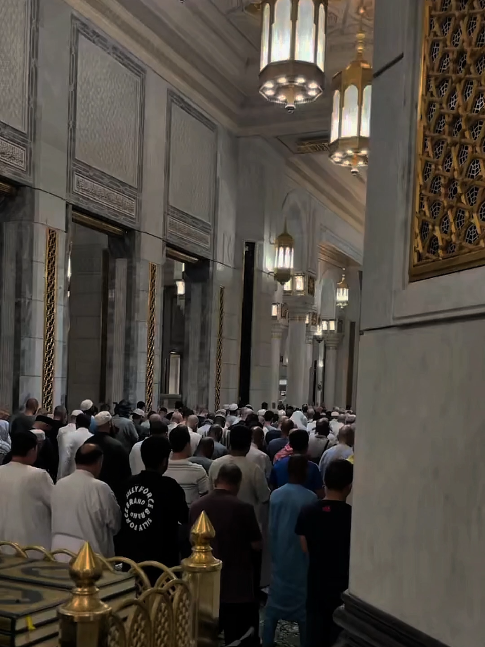 @محمد الحسين .