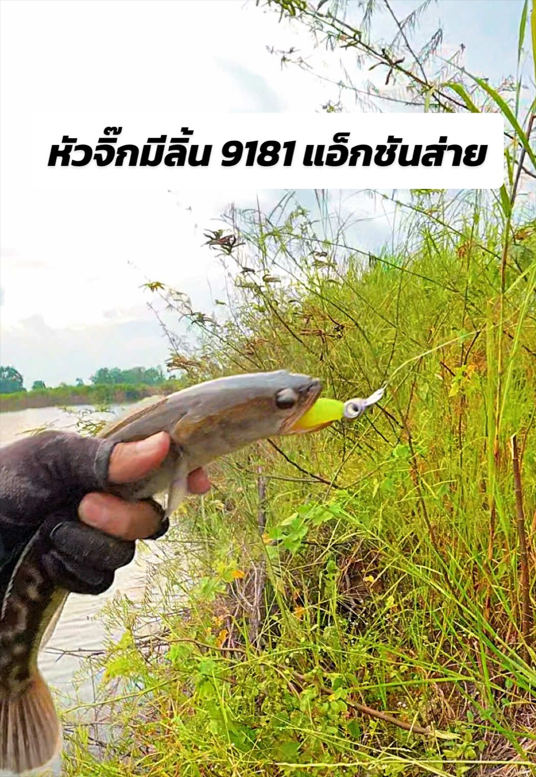 @น้ากอล์ฟ fishing ชอบแต่งรถ