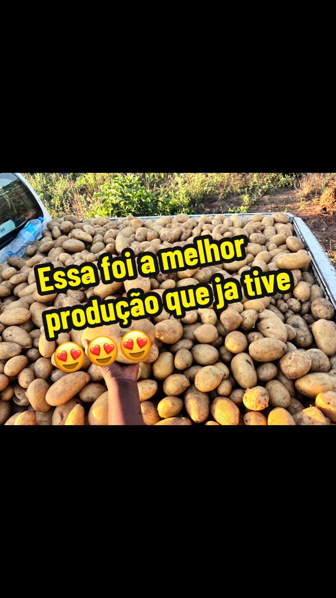 @Felicidade Gotine Firmino