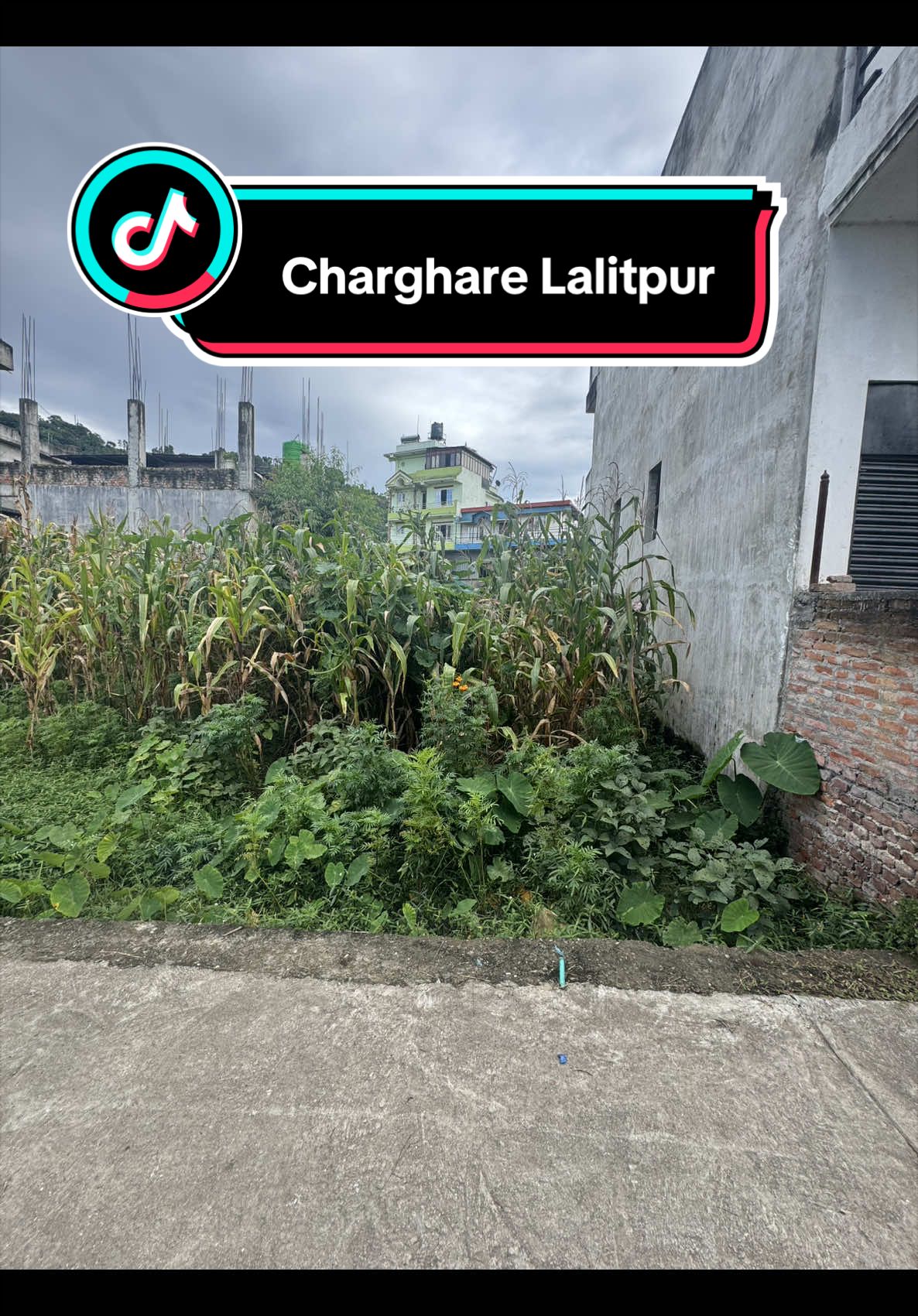 @Dd_Baini Real Estate