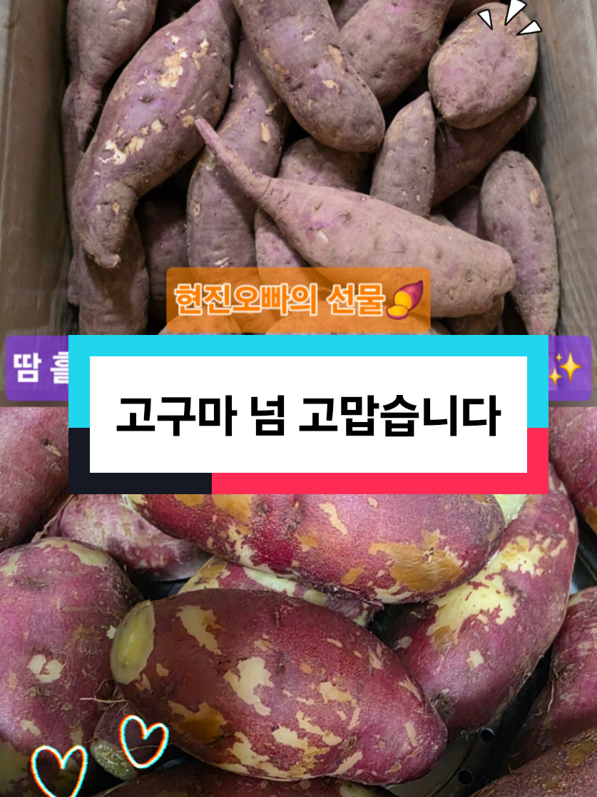 @브레인힐러