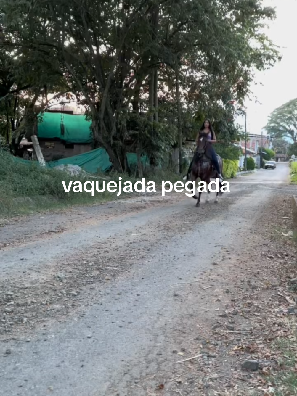 @vaquejada pegada