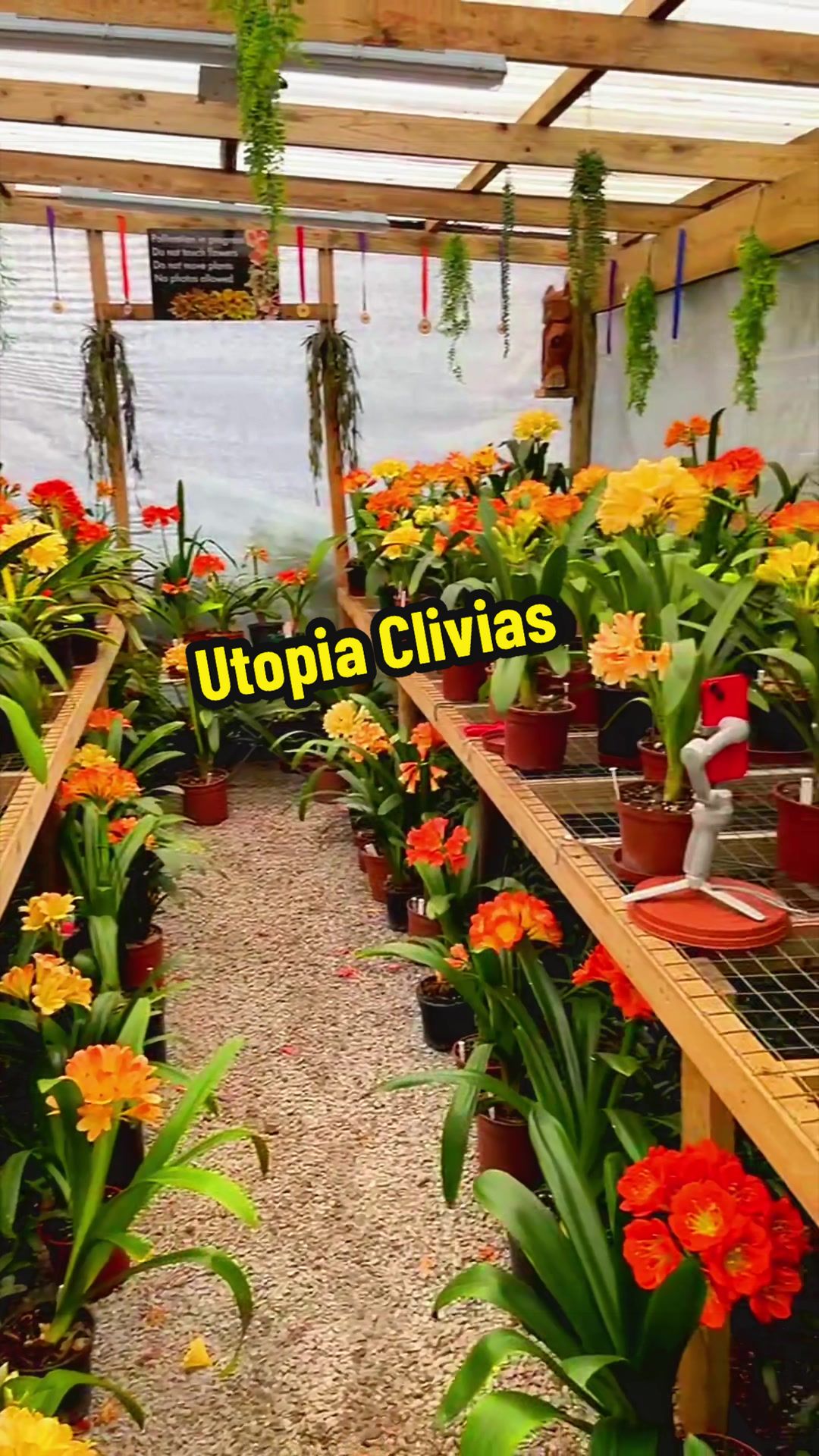 @utopiaclivias