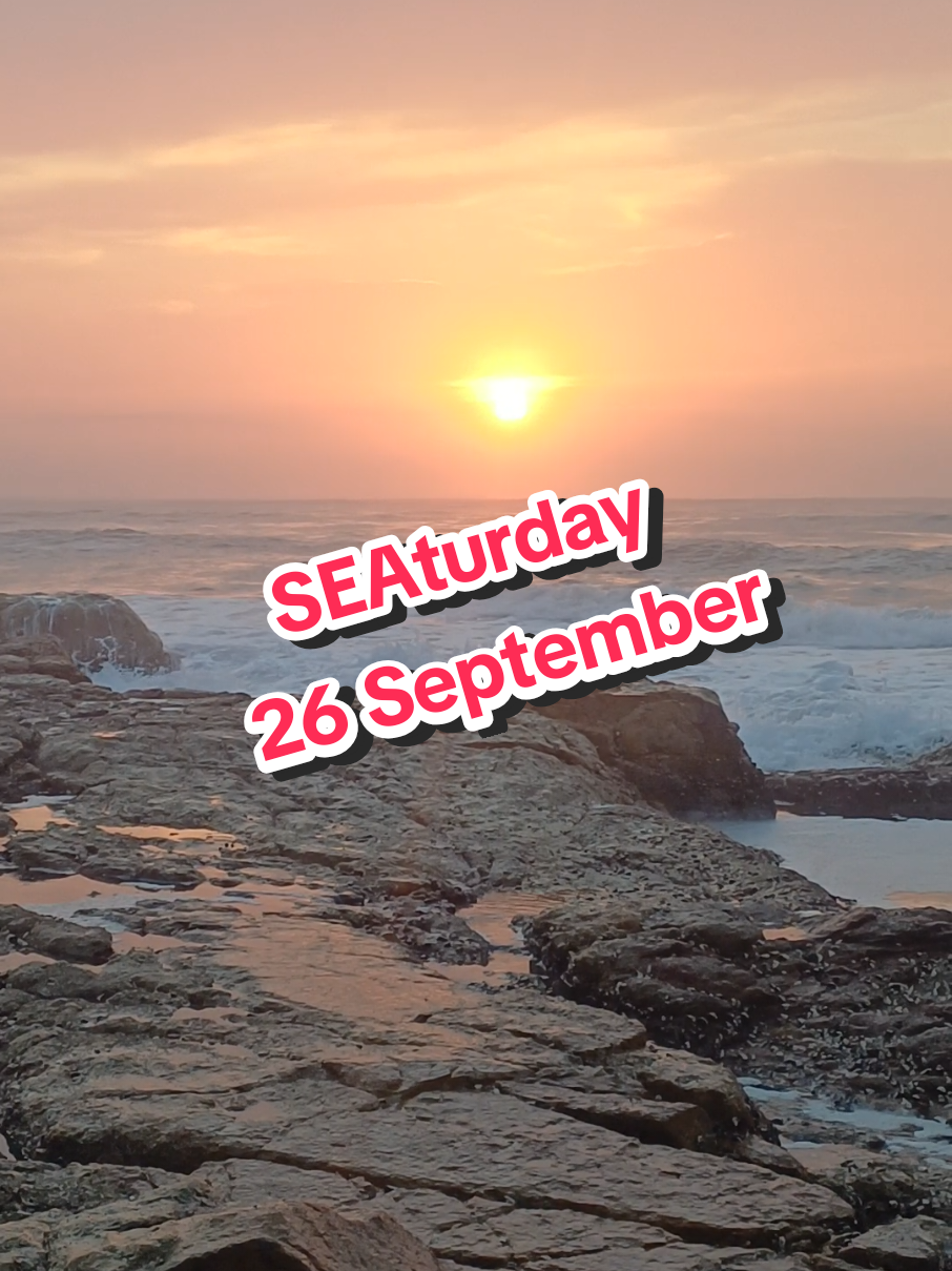 @Werner 🔆 🌊 🇿🇦