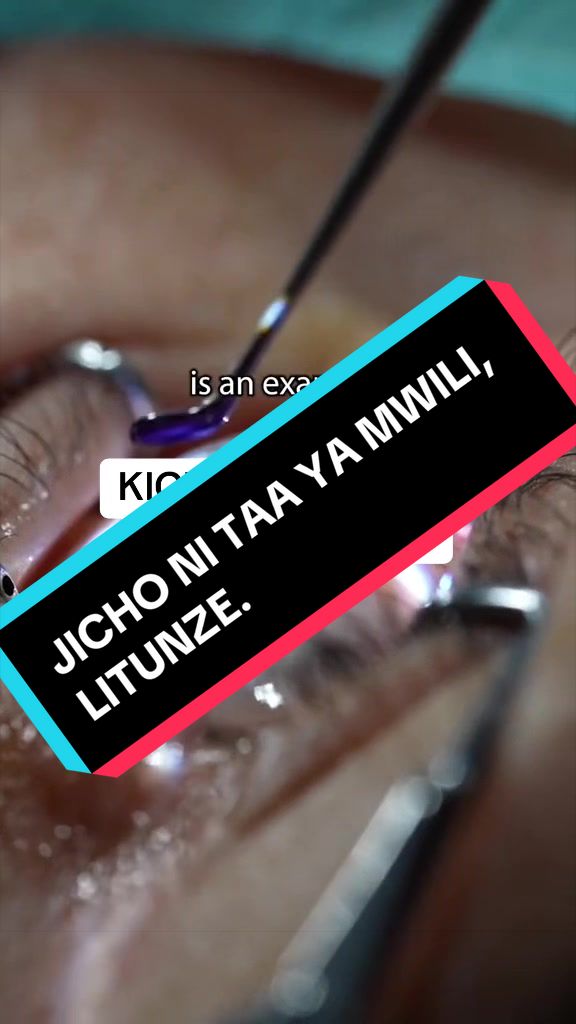 @Madam Schola