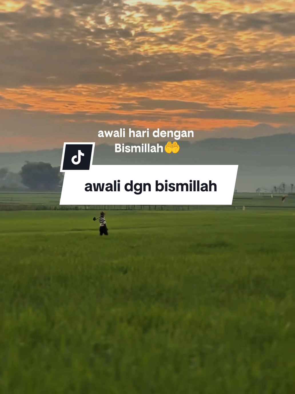 @SHY