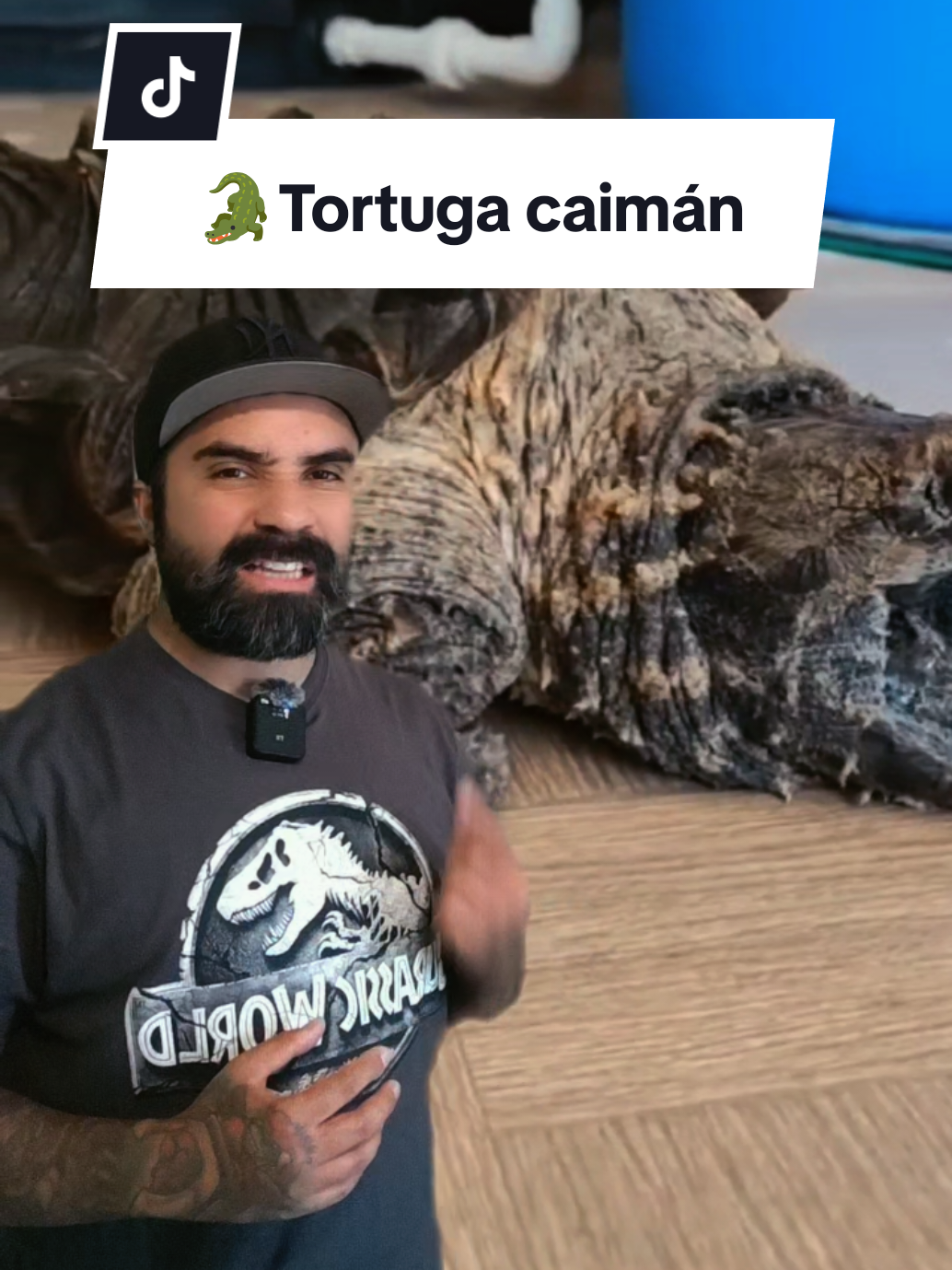 @Tortubalance