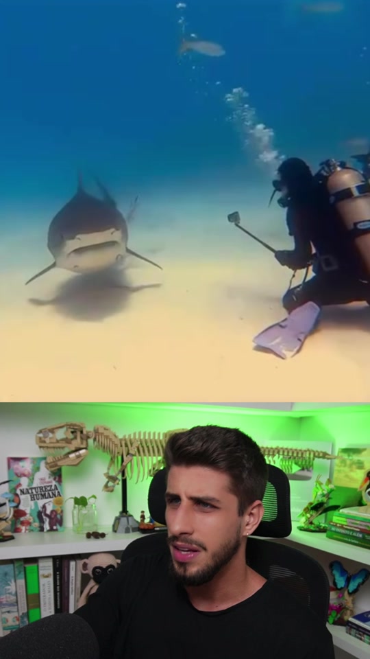 @Yago Stephano