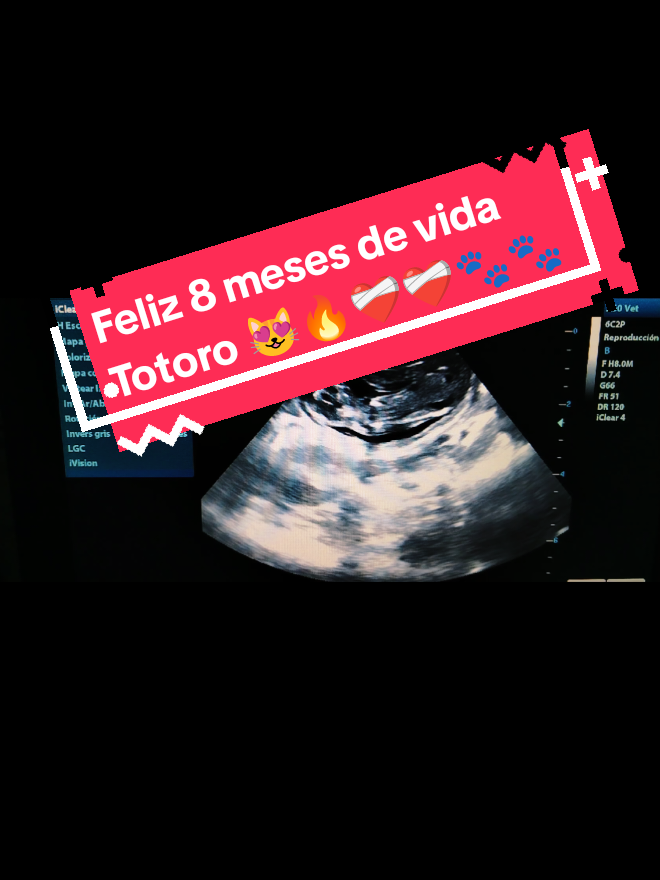 @Lunaticktokera