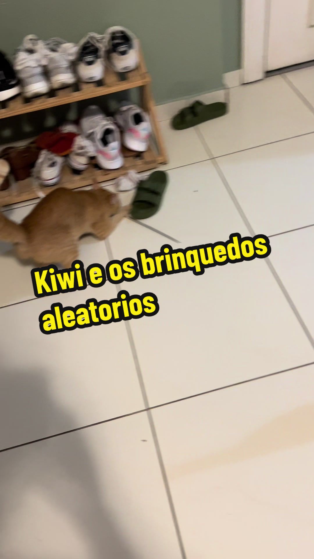 @Kiwi & Camomila