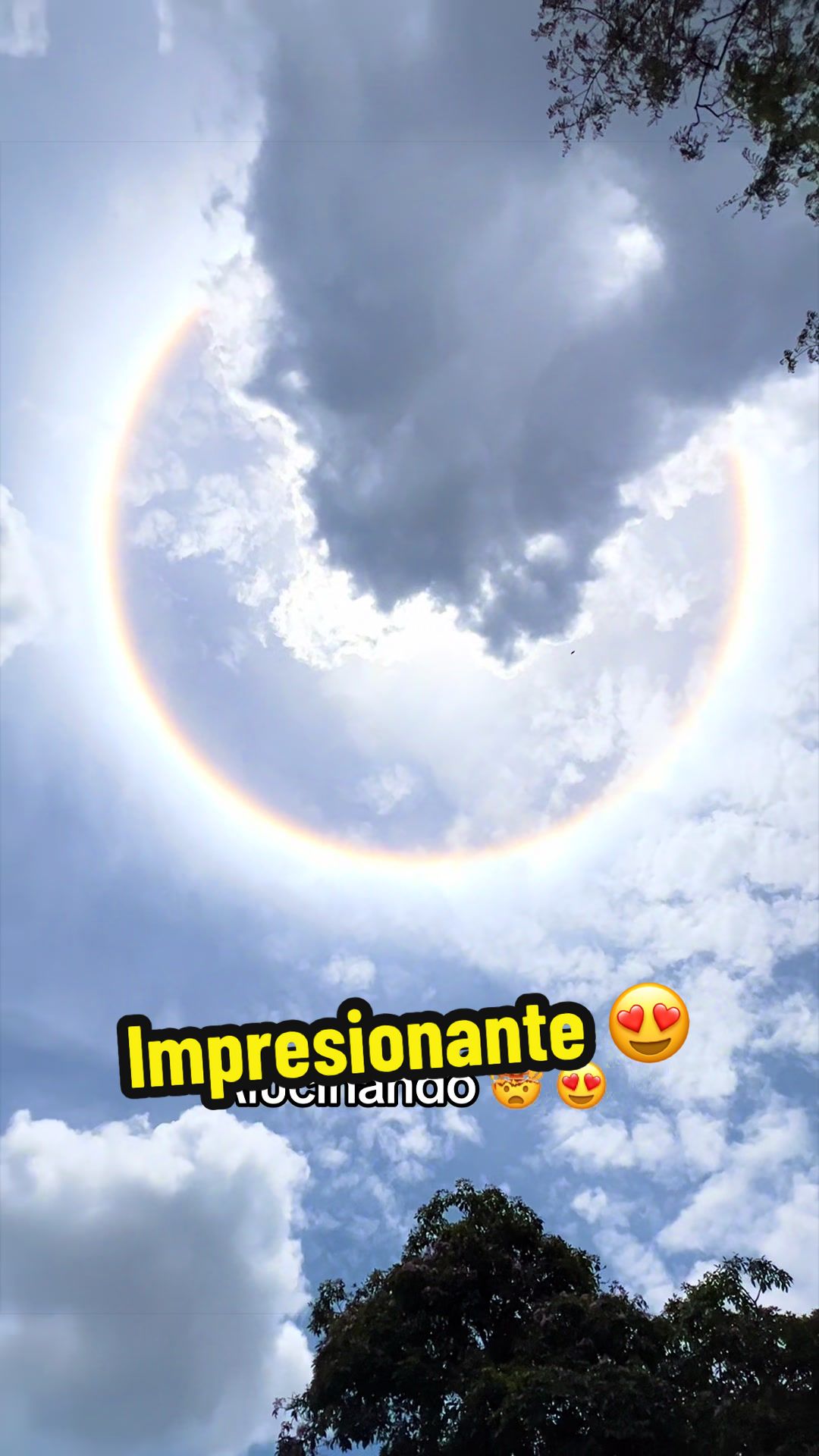 @untalchino_