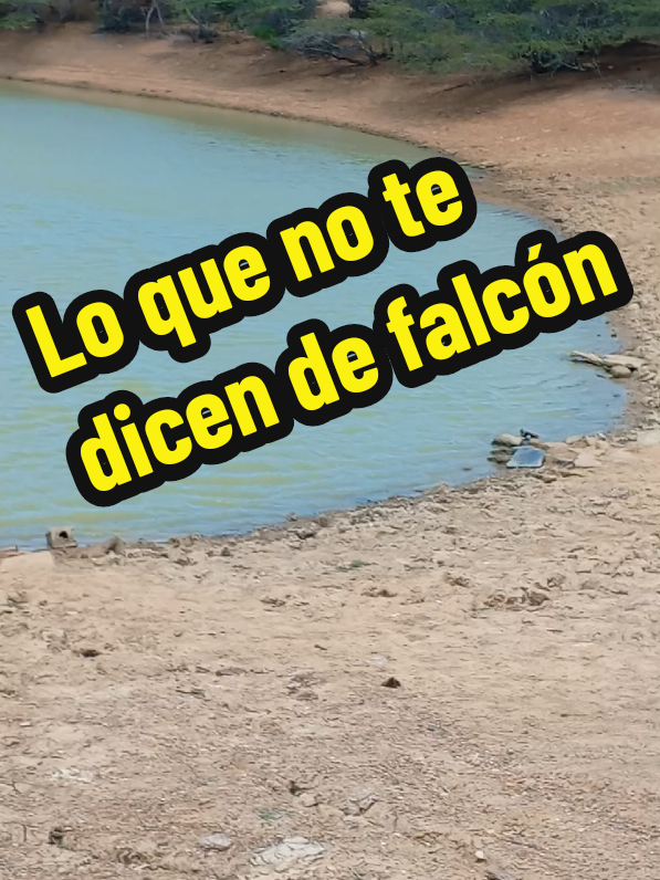 @SoySteven