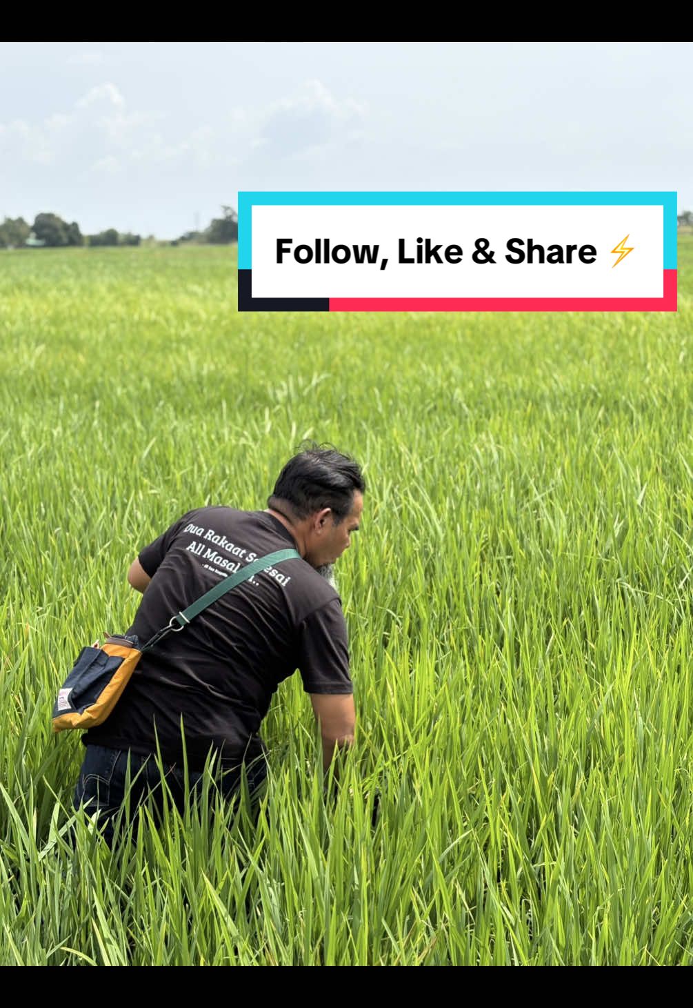 @CY Agriculture