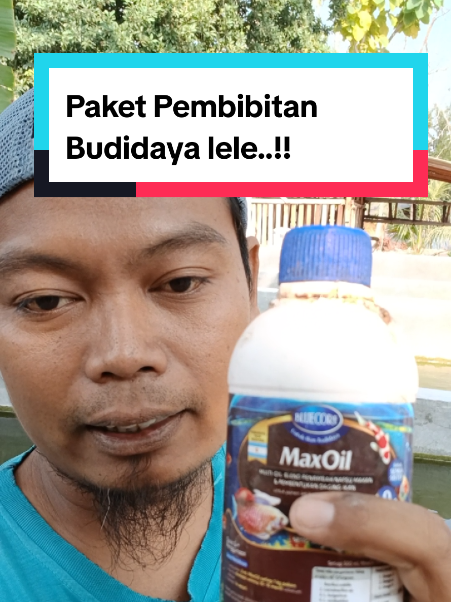 @Kang_Ewi