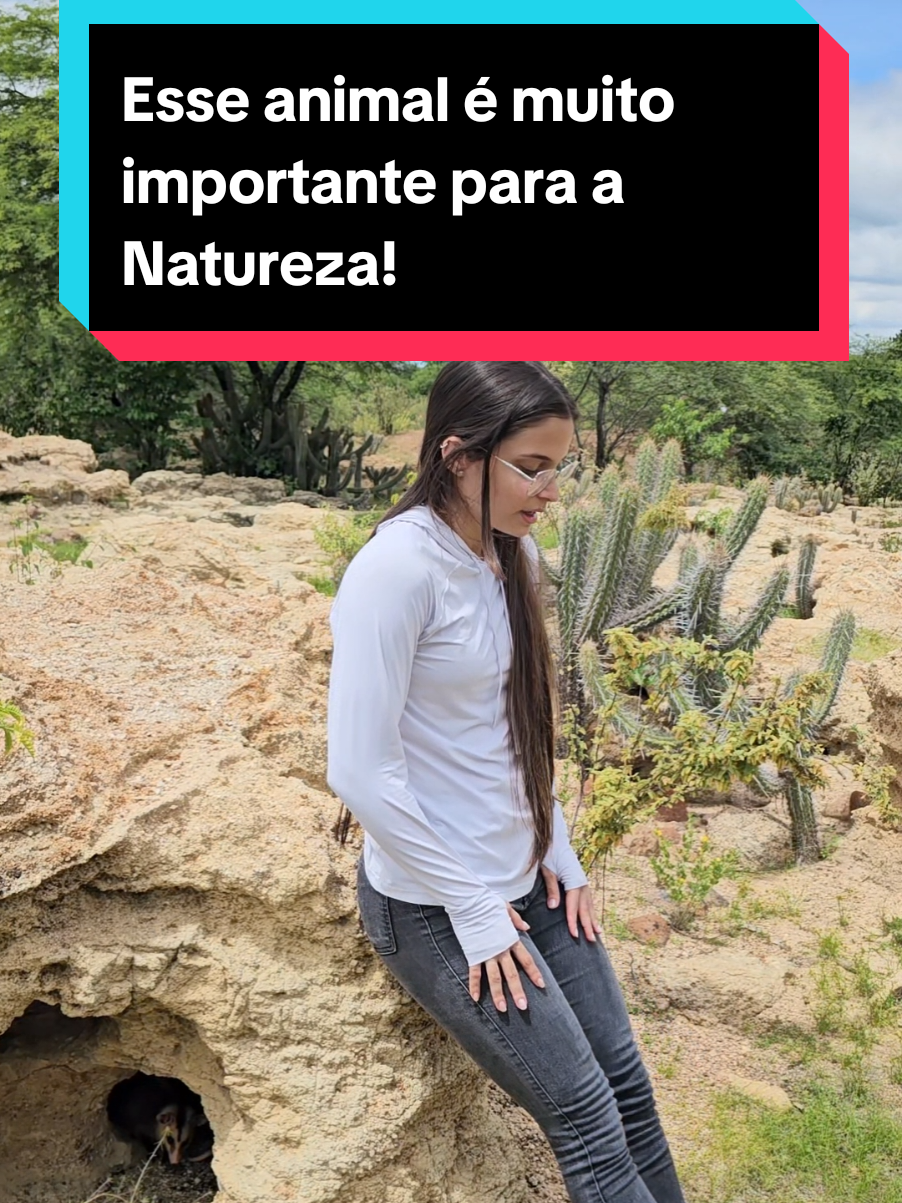 @Princesa das Serpentes