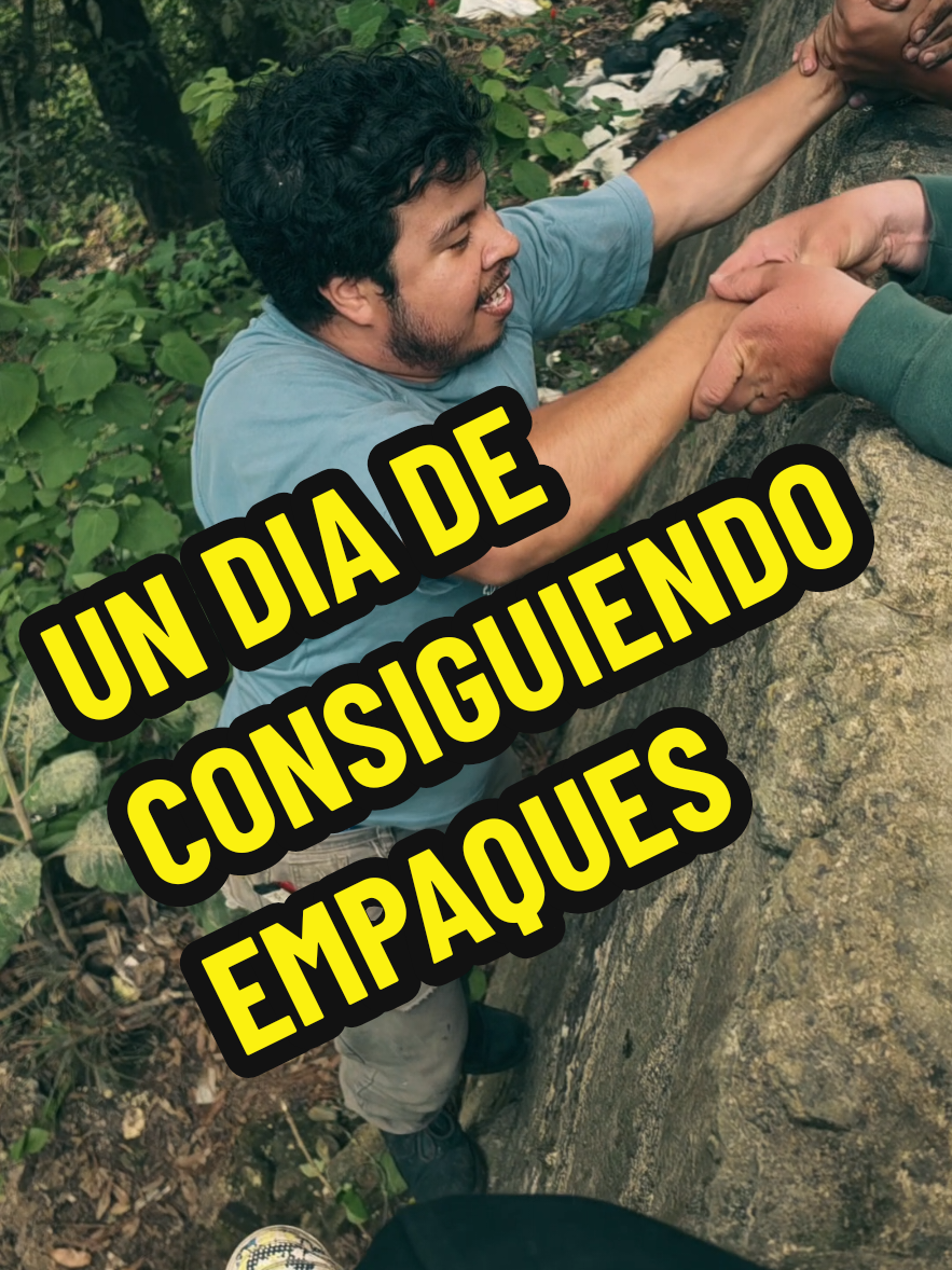 @Coleccionando Ando 🦇