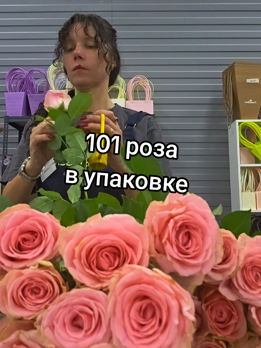 @Снежана