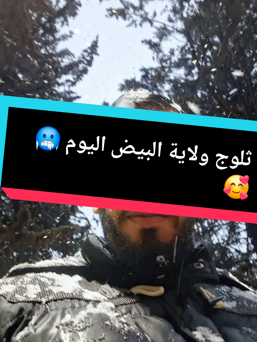 @Mohamed Amine Mahi