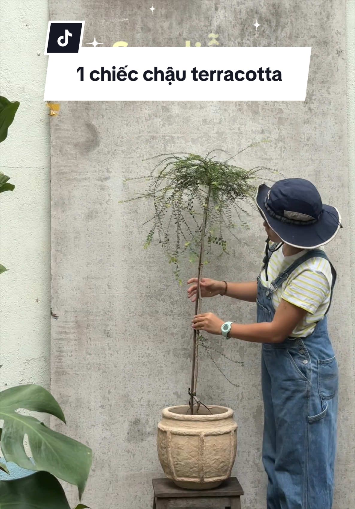 @Vuoncuakien
