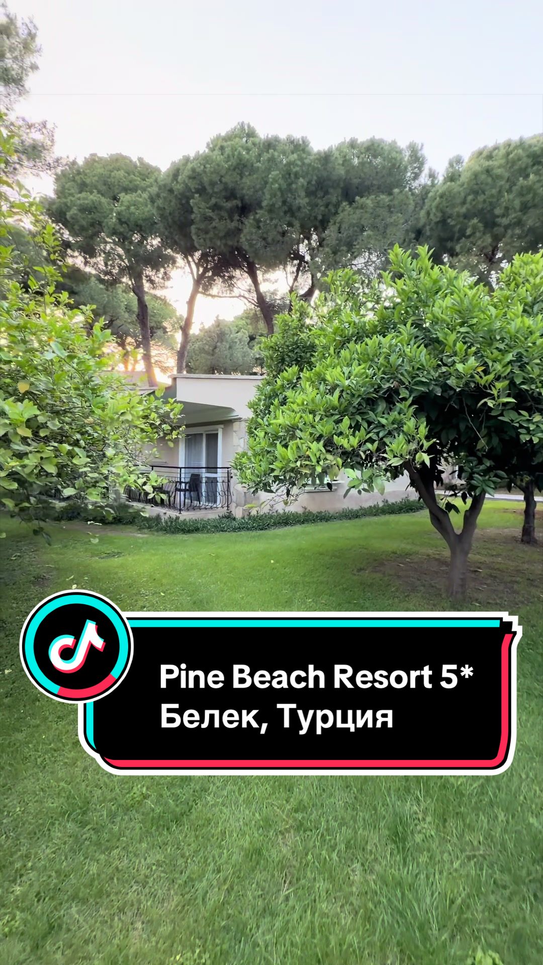 @Ирума Головкина