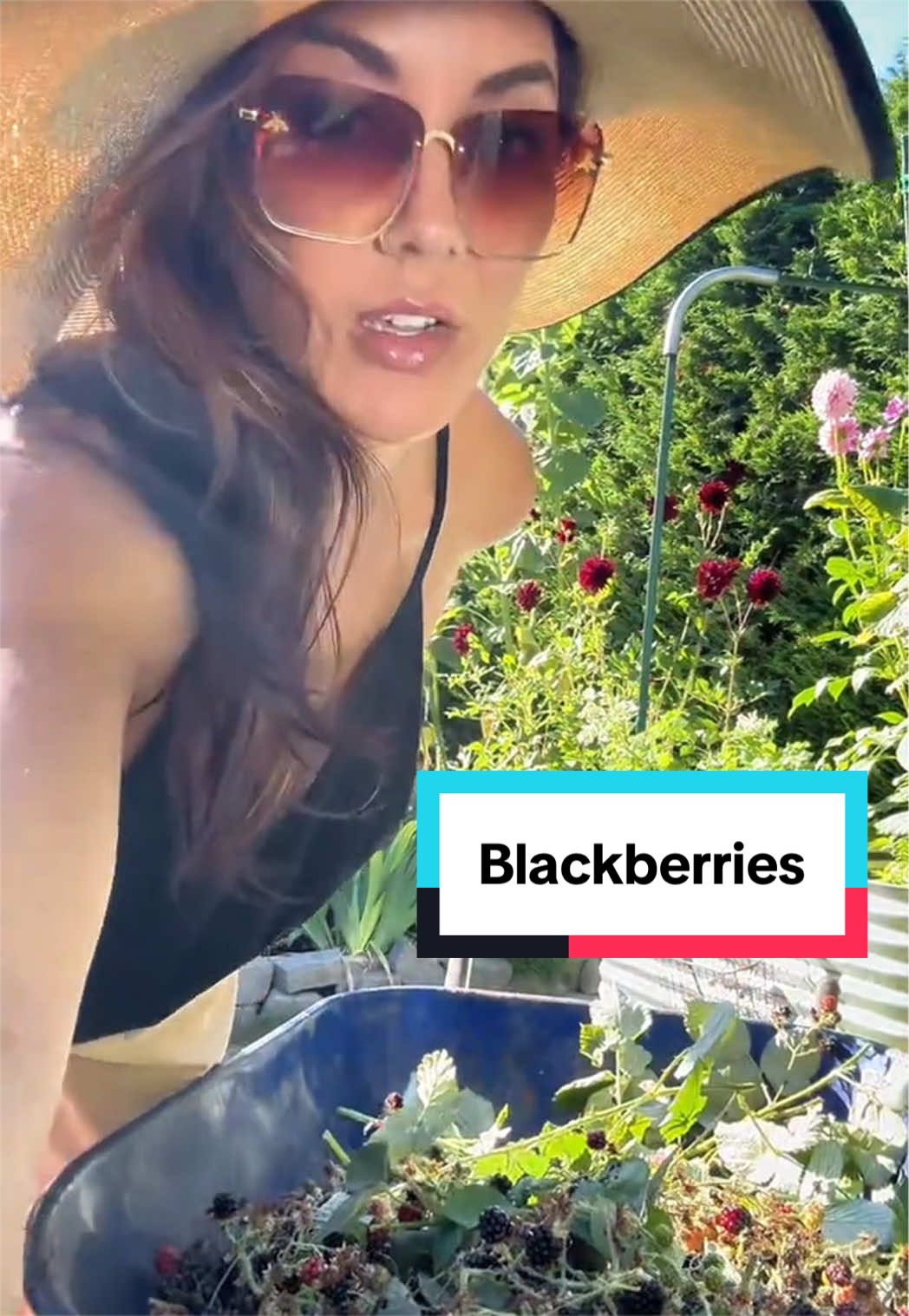 @Ava Dahlia 🇨🇦👩&zwj;🌾✌️