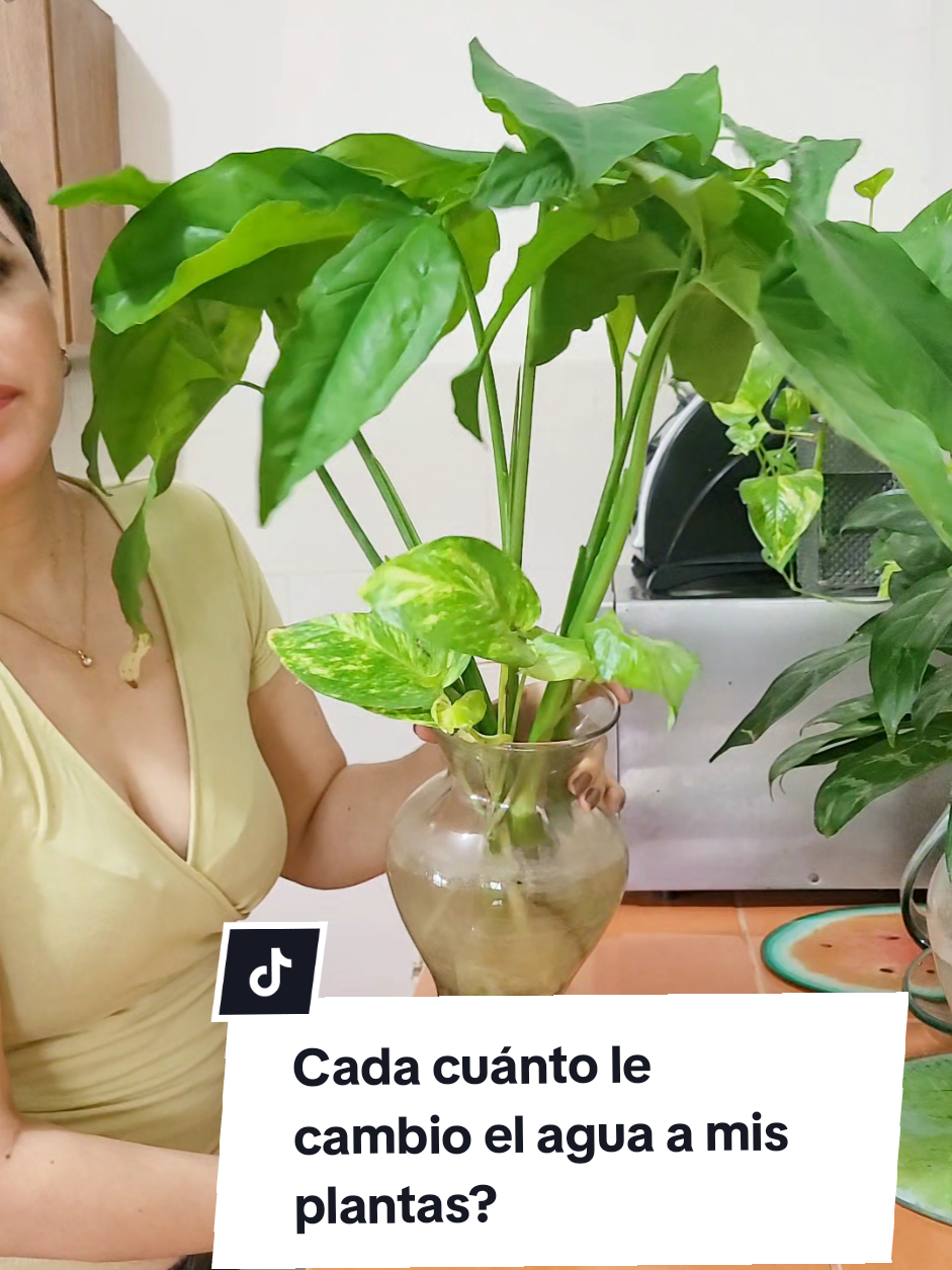 @Plantología🌿